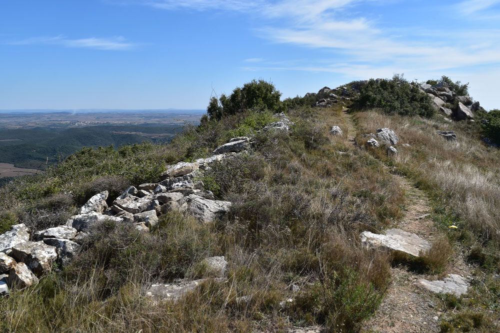 photo11