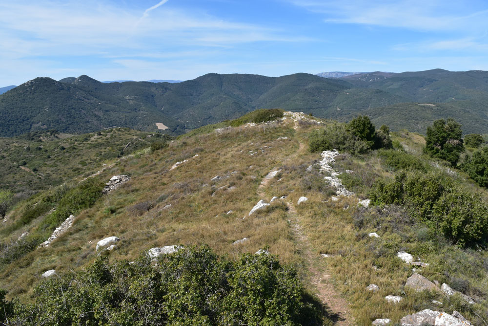 photo12
