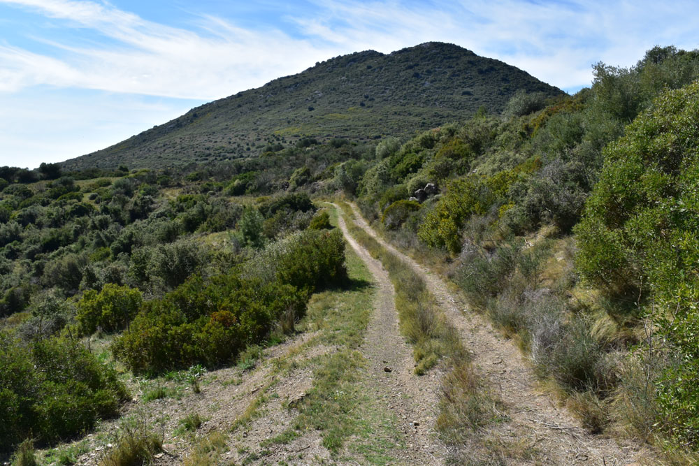 photo17