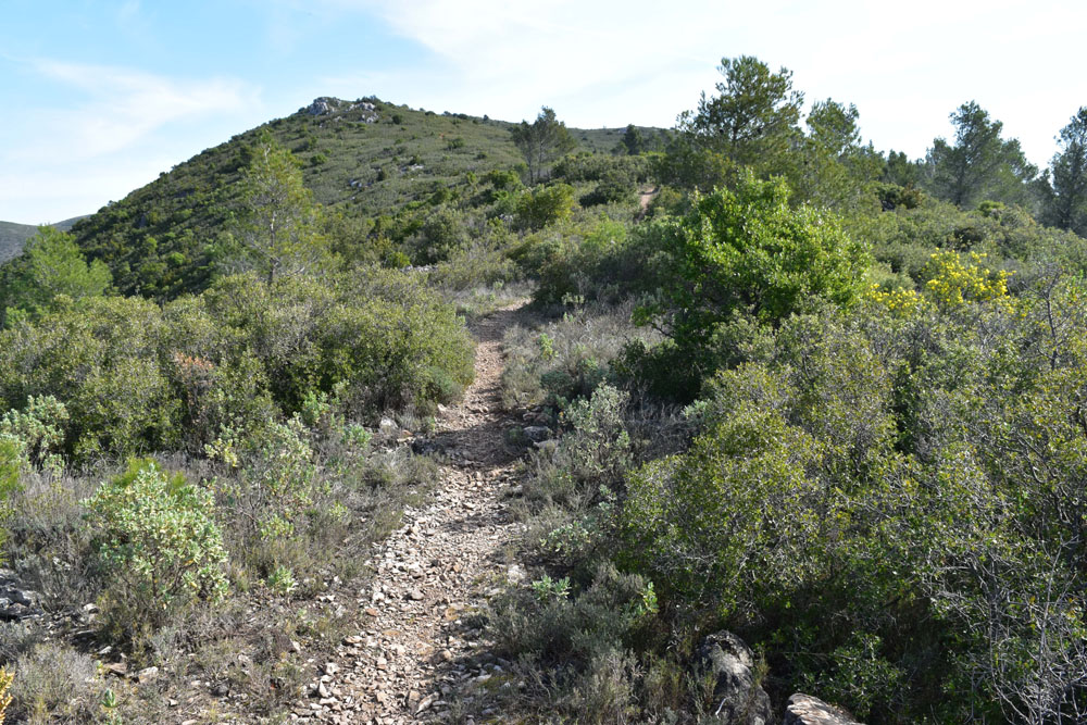 photo2