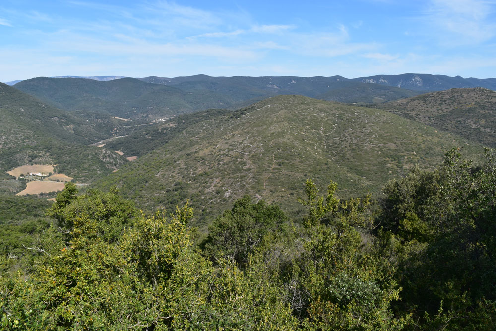photo4