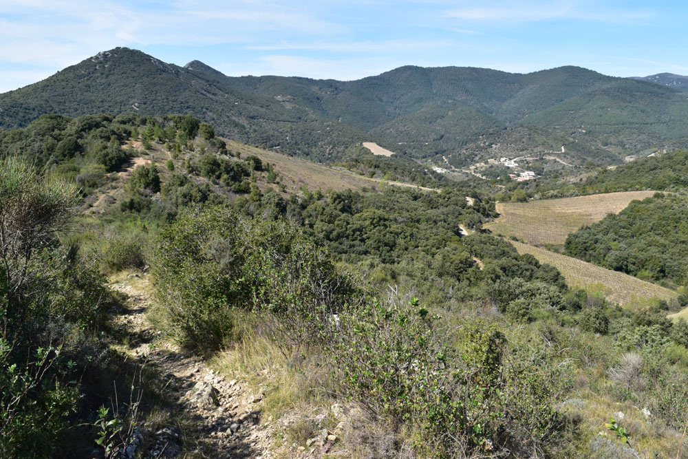 photo5