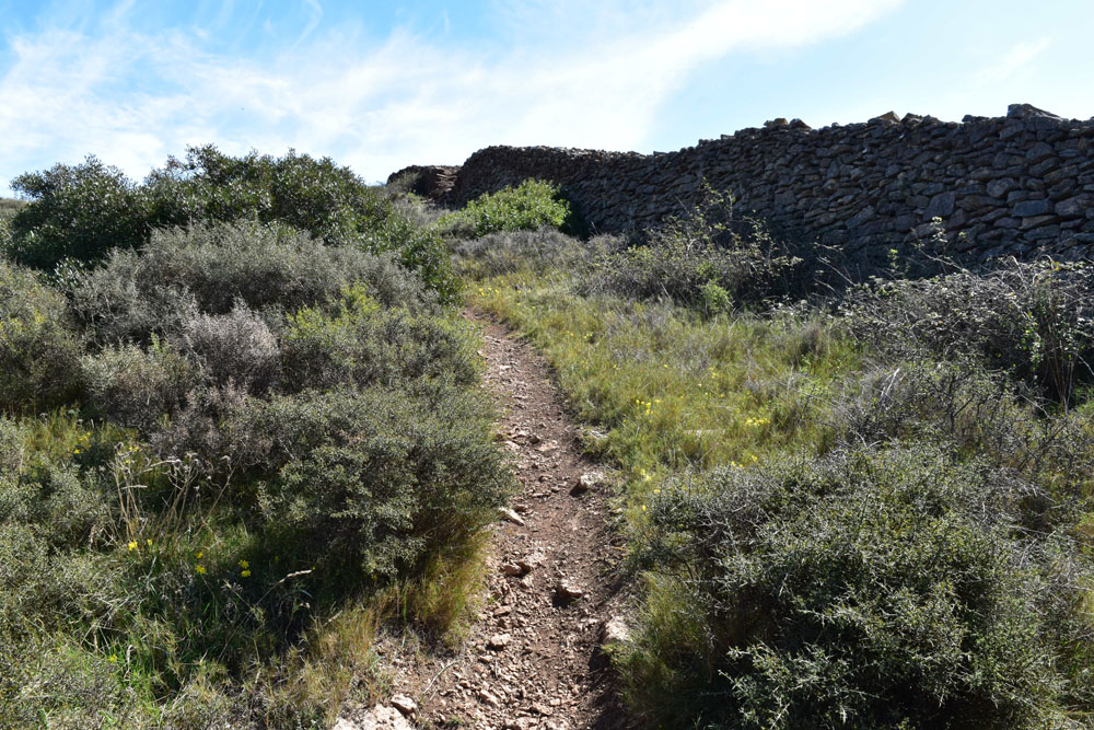 photo8