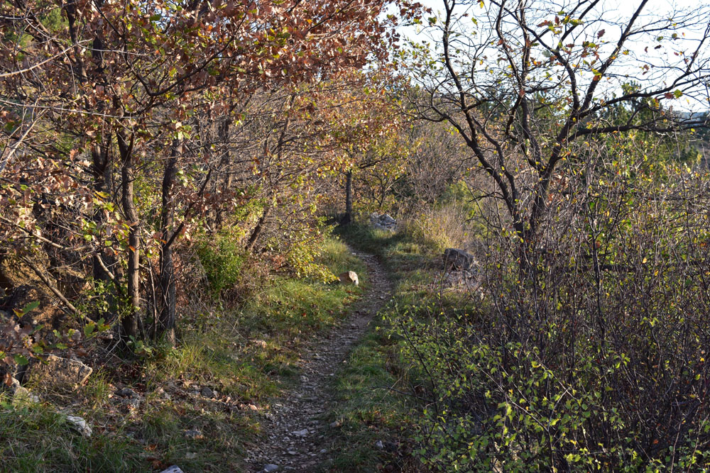 photo1
