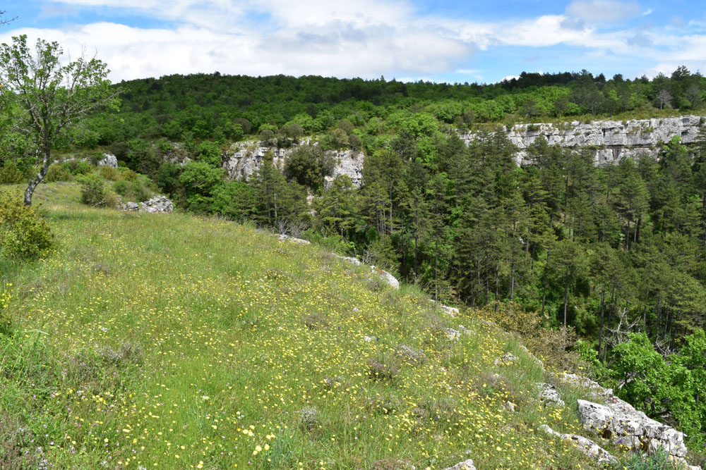 photo13