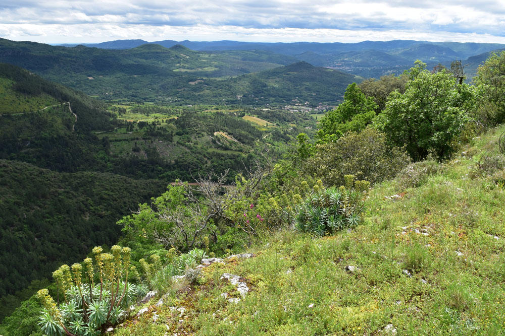 photo14