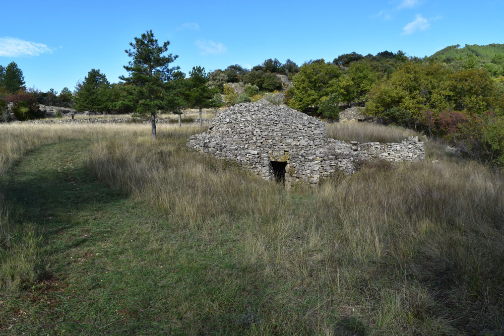 photo17