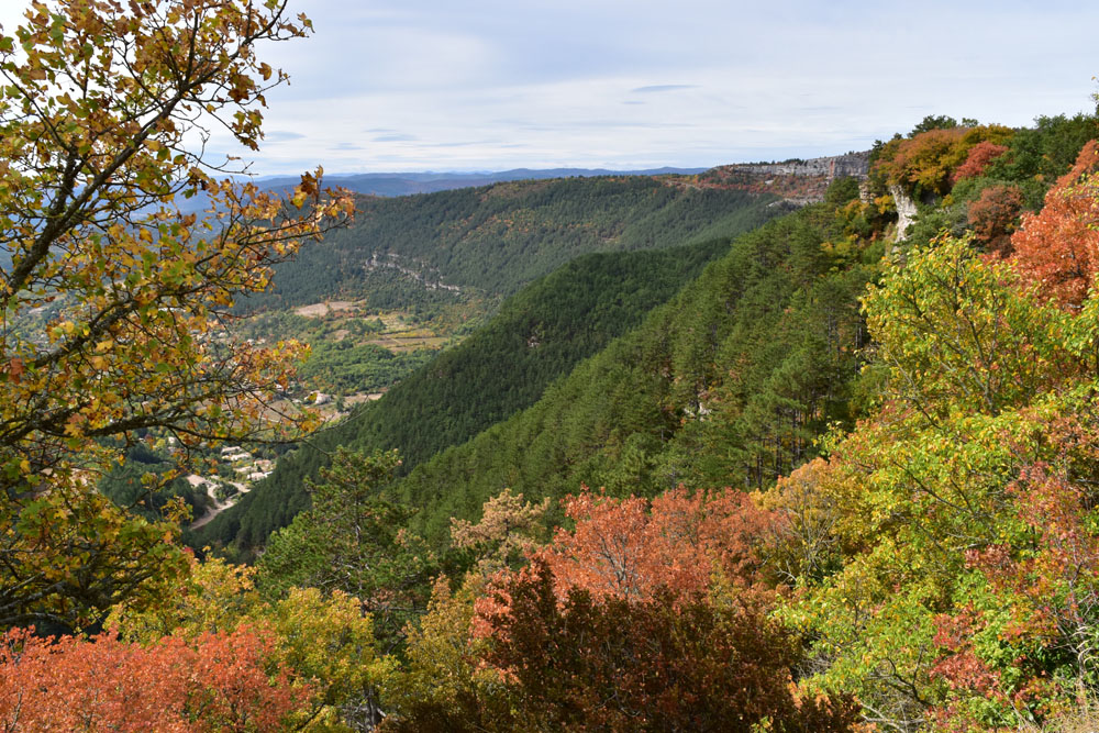 photo8
