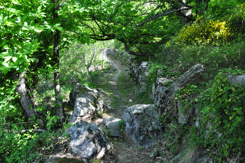 photo1