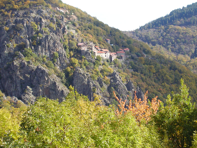 photo11