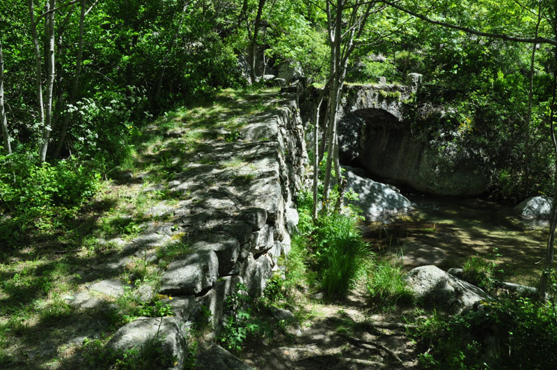 photo13