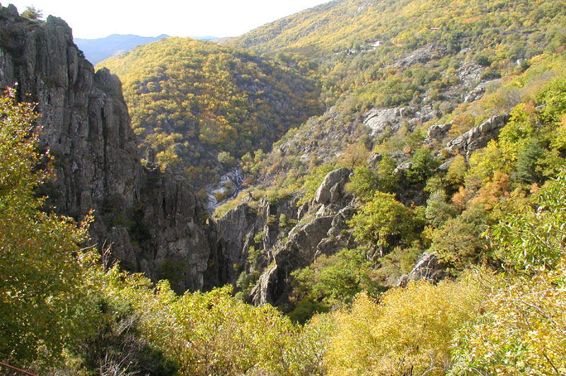 photo14