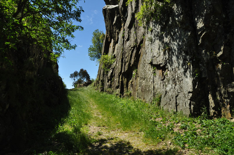 photo15