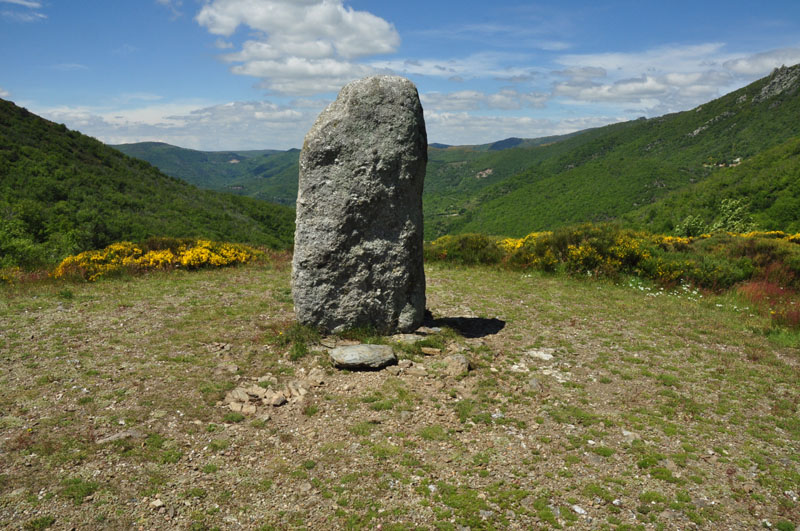 photo17