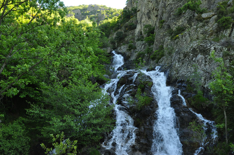 photo2