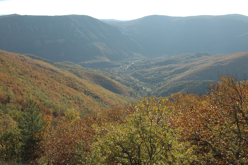 photo21