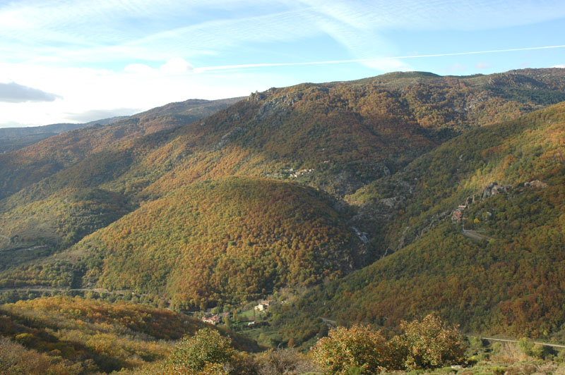 photo23