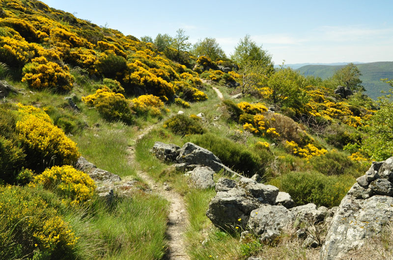 photo5