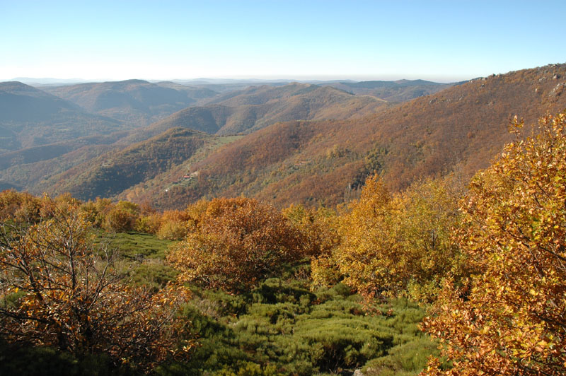 photo8