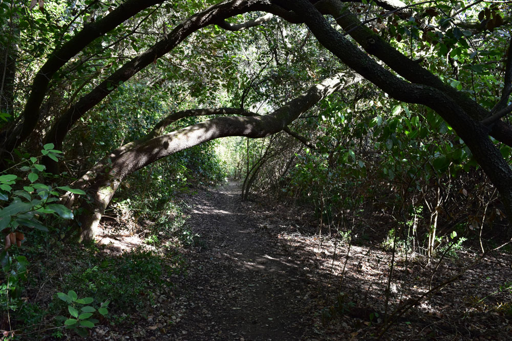 photo15