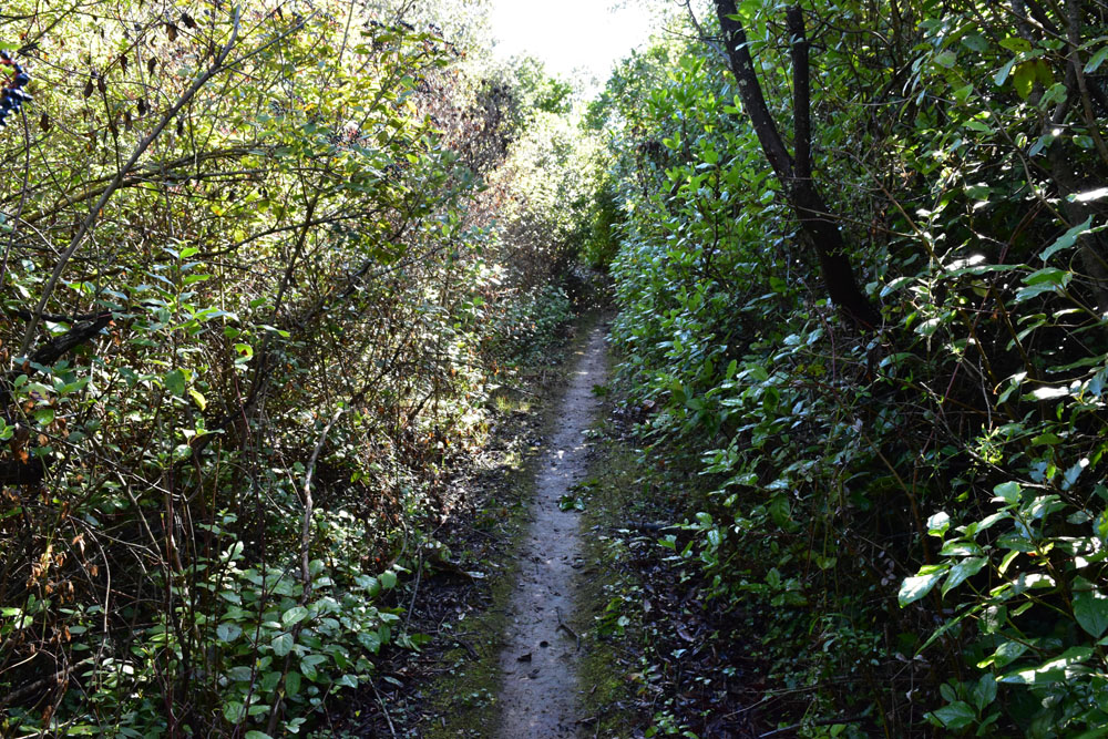 photo3