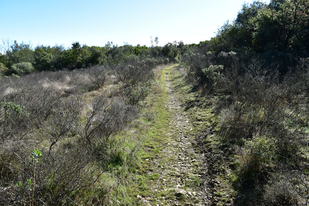photo4