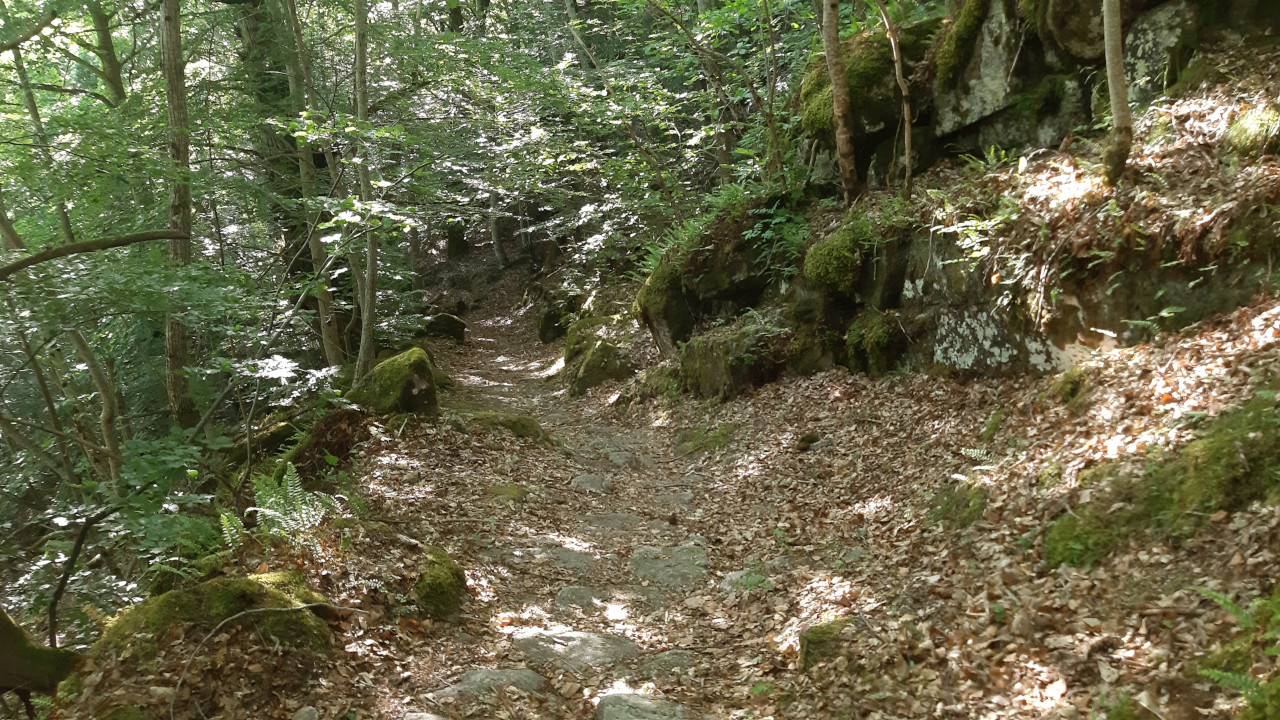 photo1