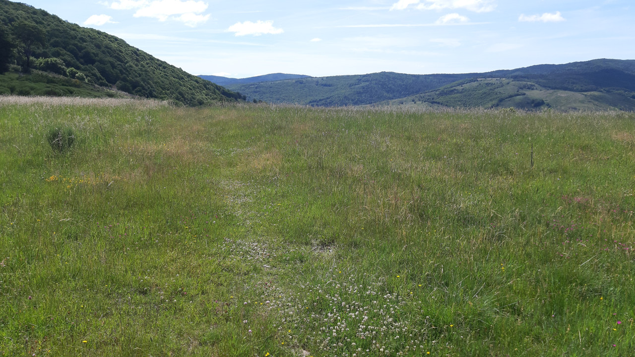 photo14