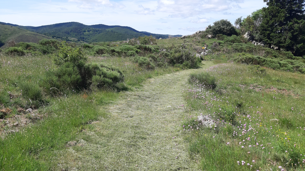 photo19
