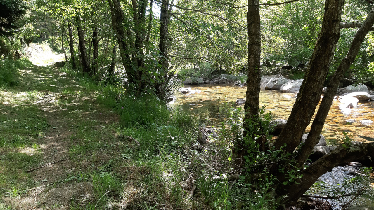 photo20