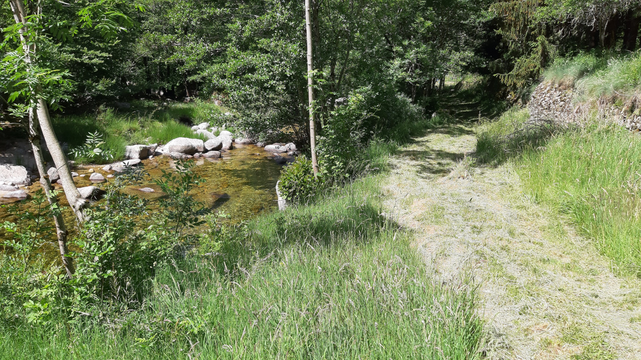 photo21