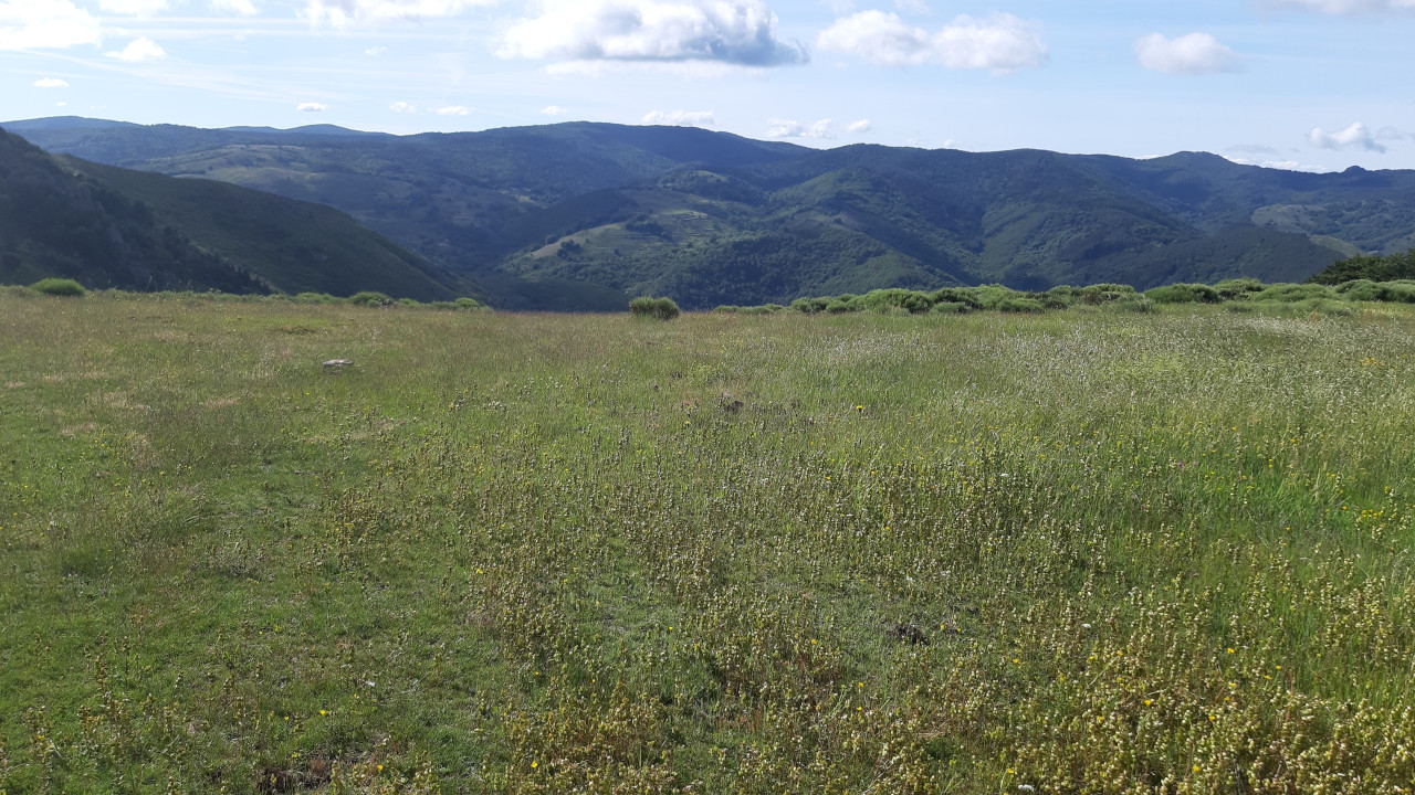 photo9