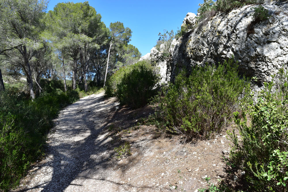 photo16