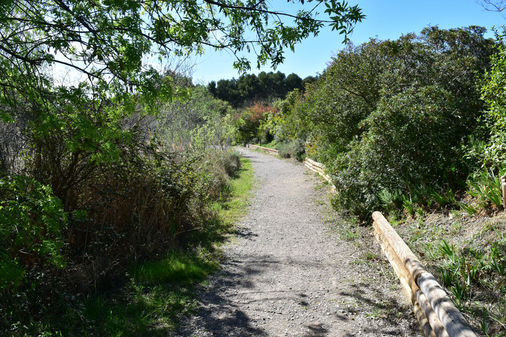 photo21