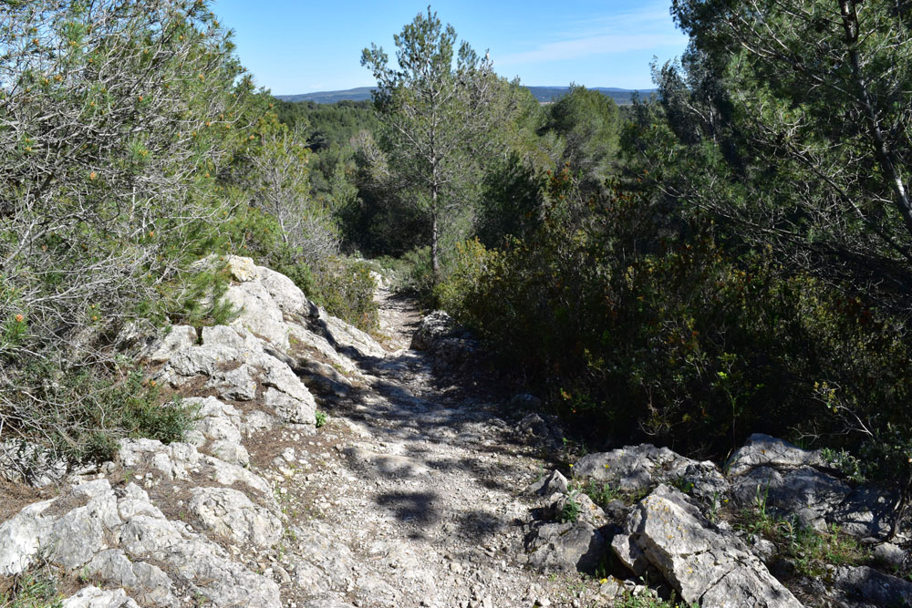 photo23