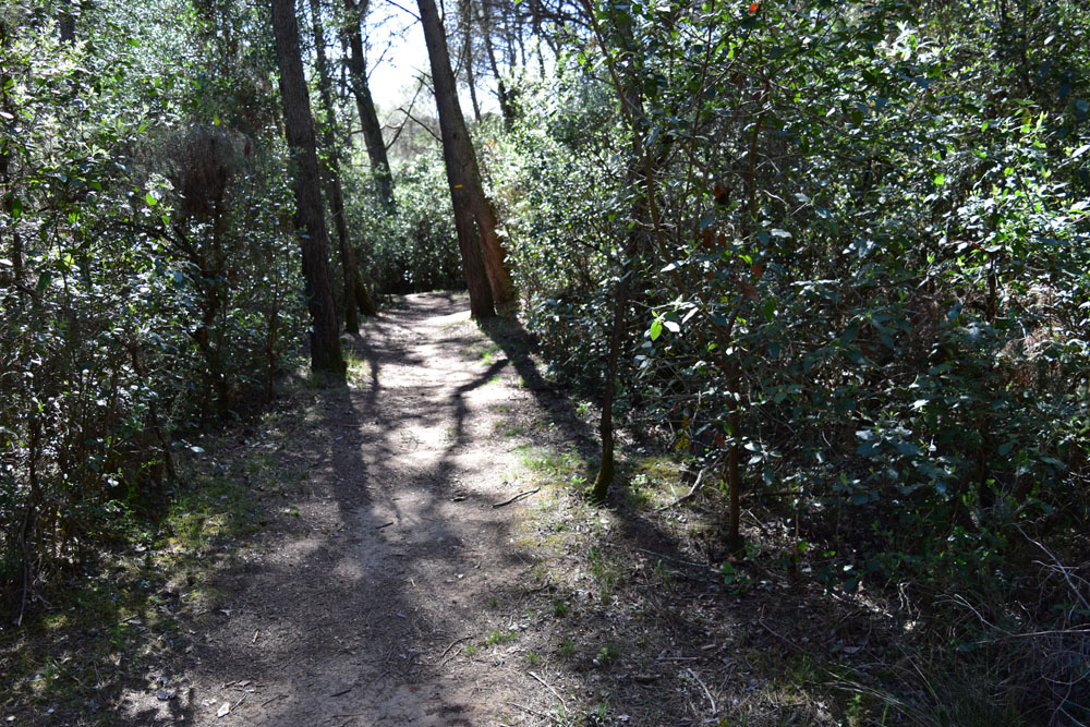 photo24