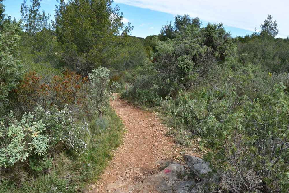 photo3