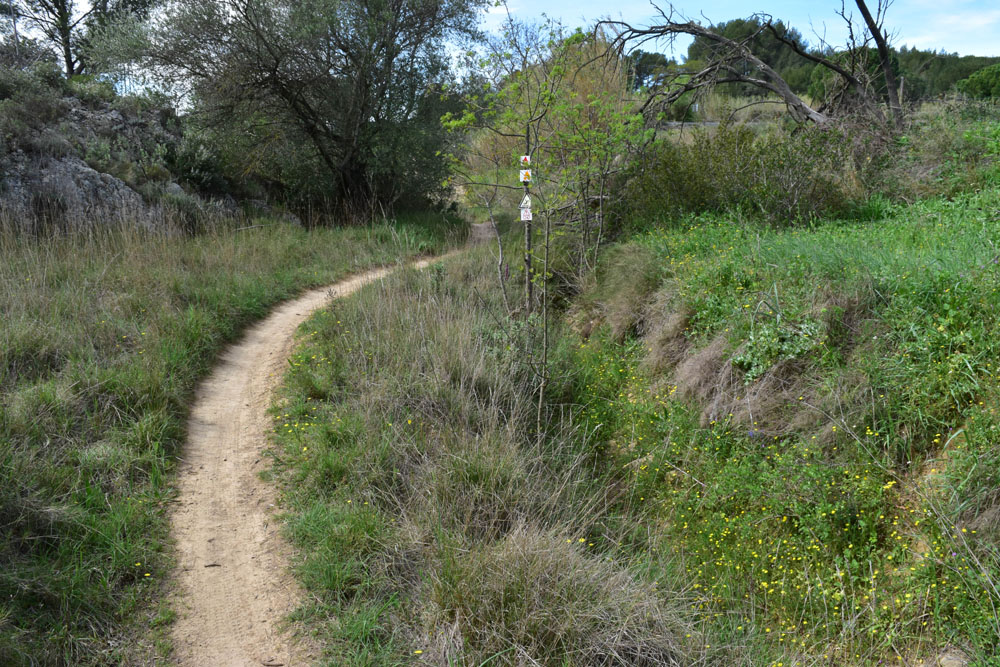 photo4