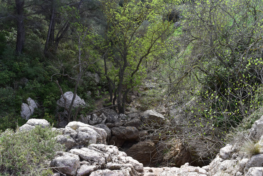 photo5