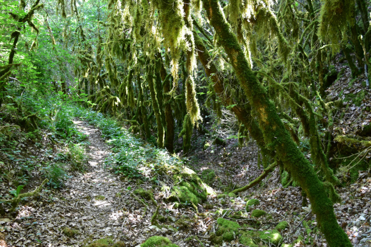 photo10