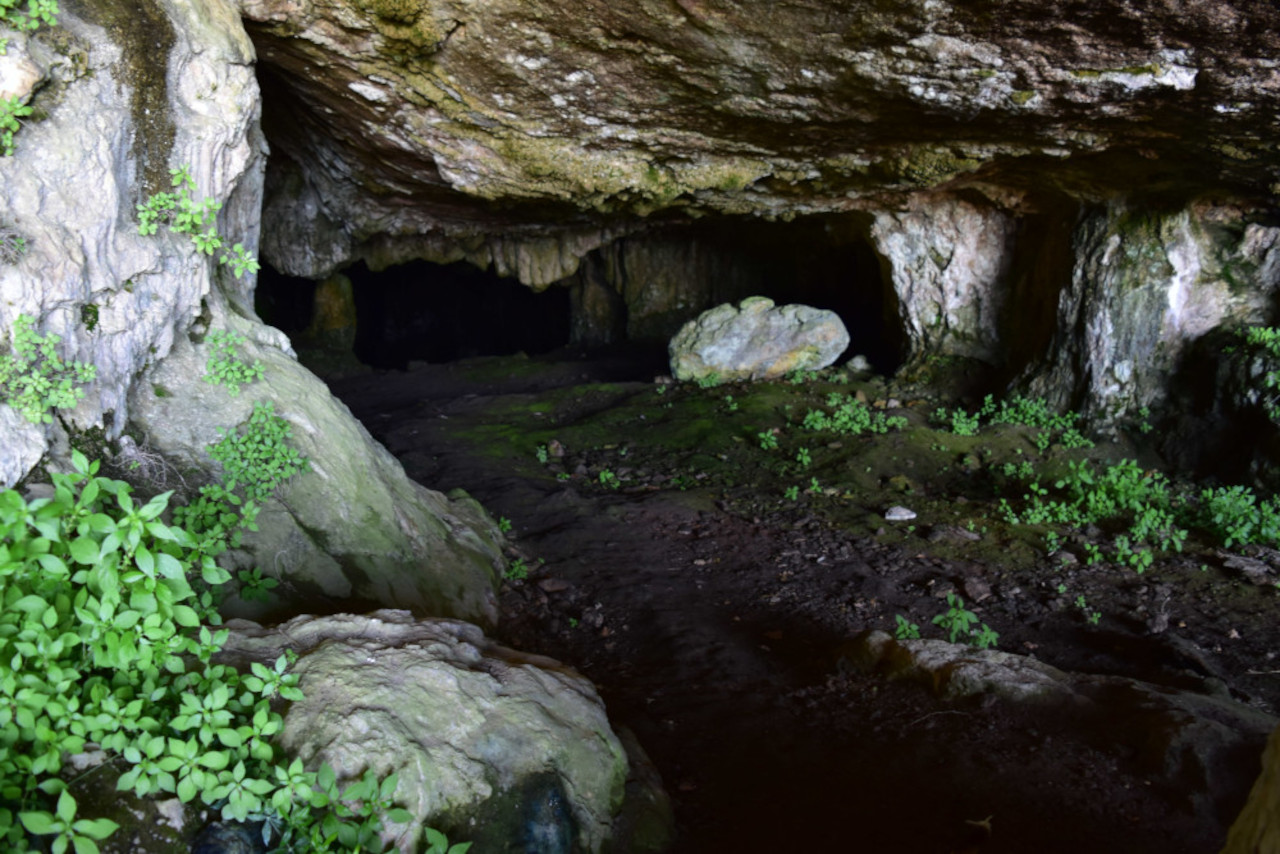 photo13