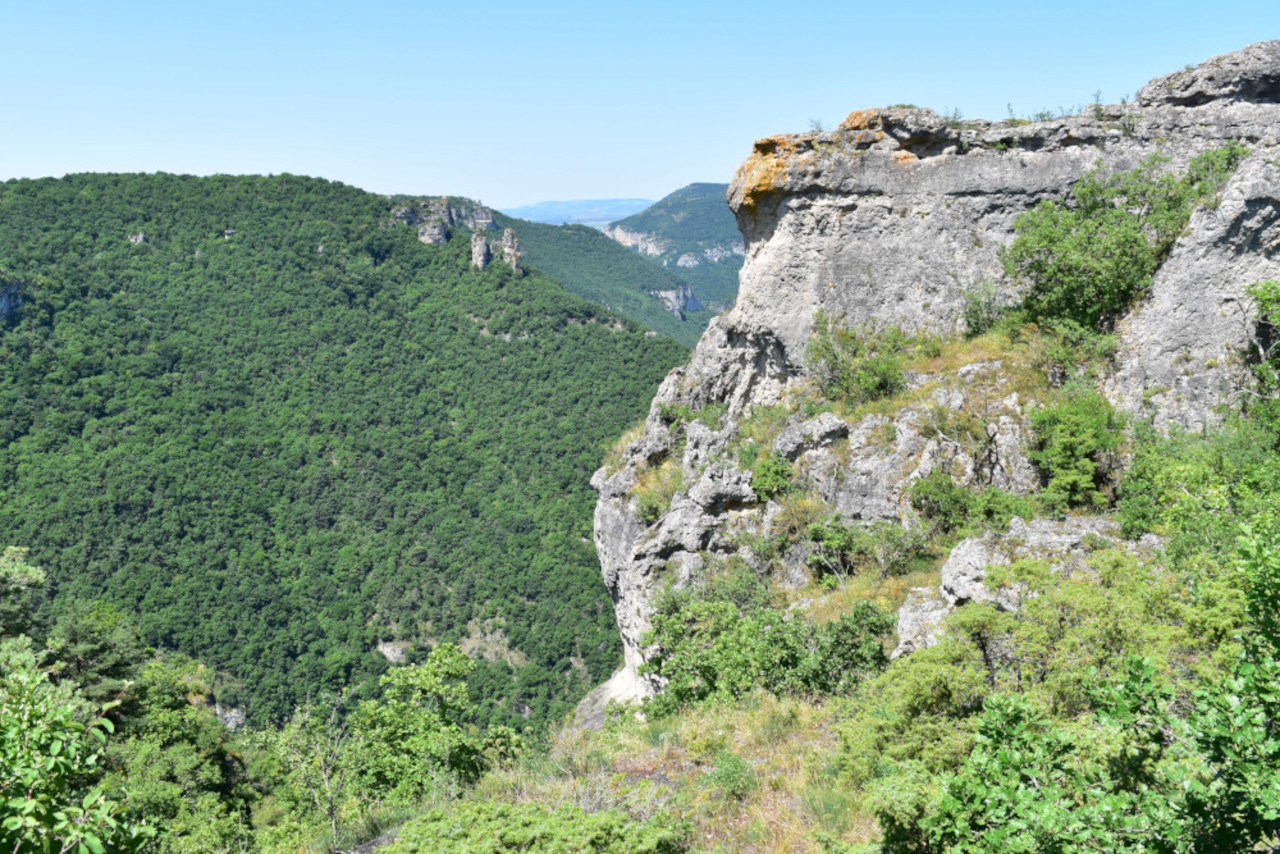 photo20