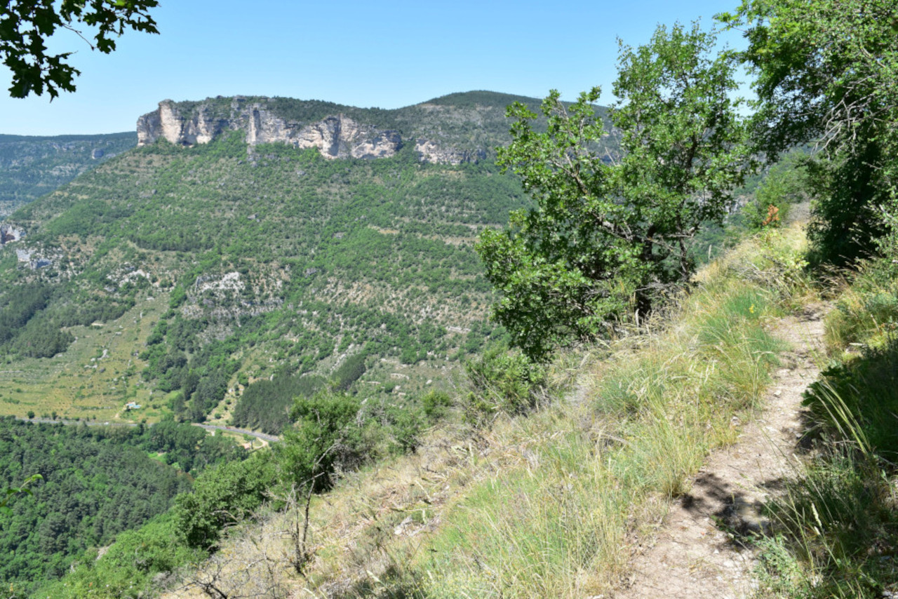 photo23