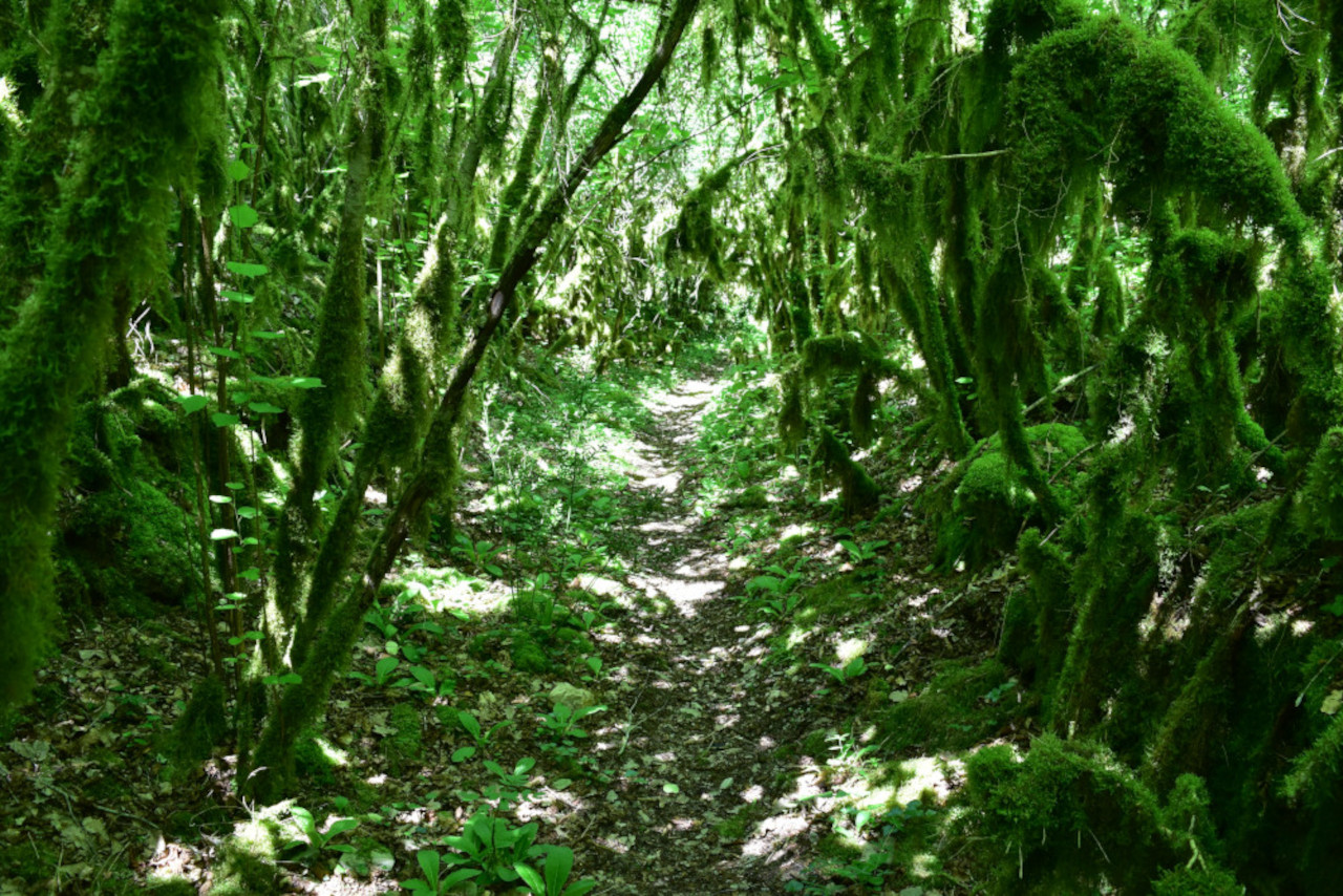 photo26
