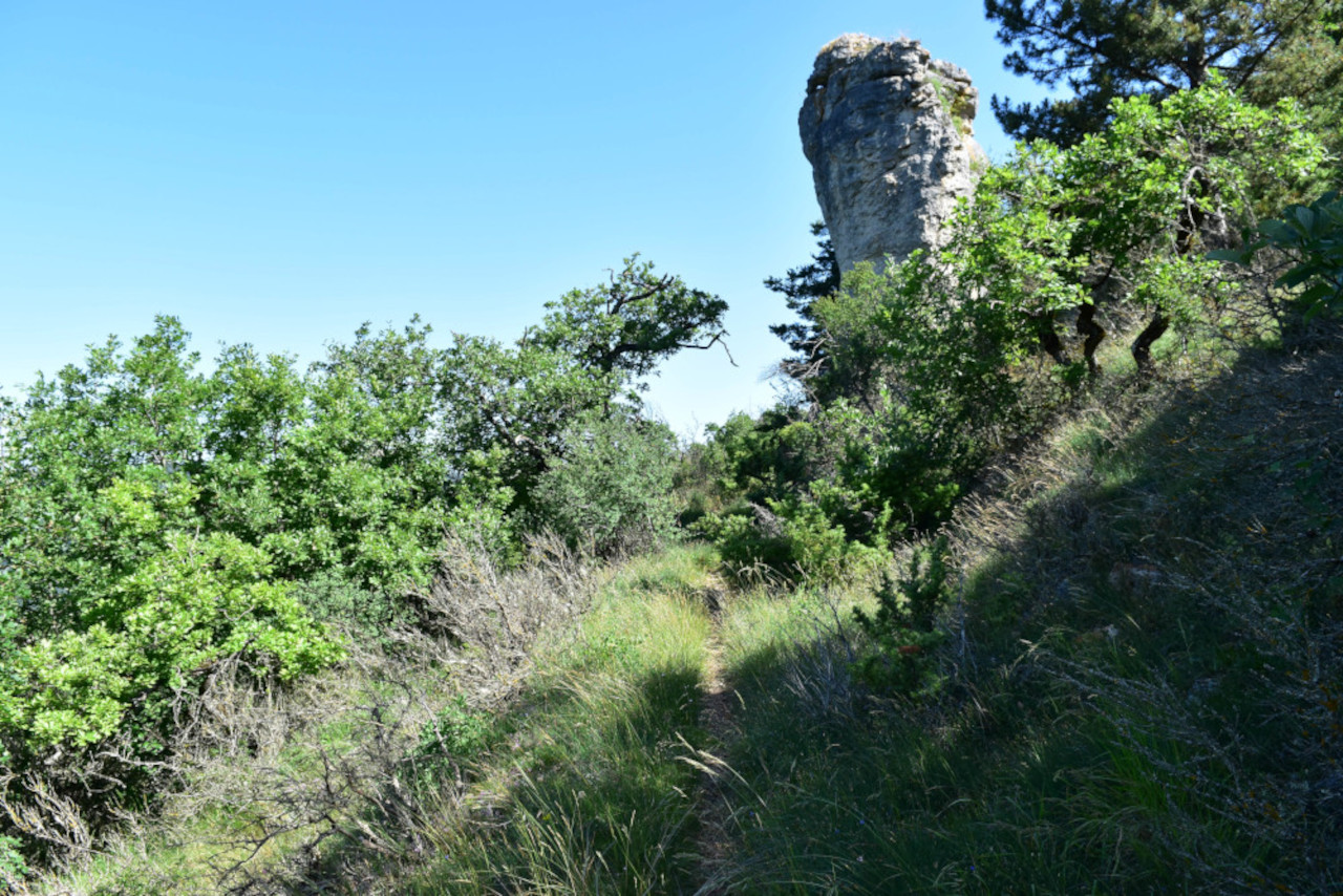 photo7