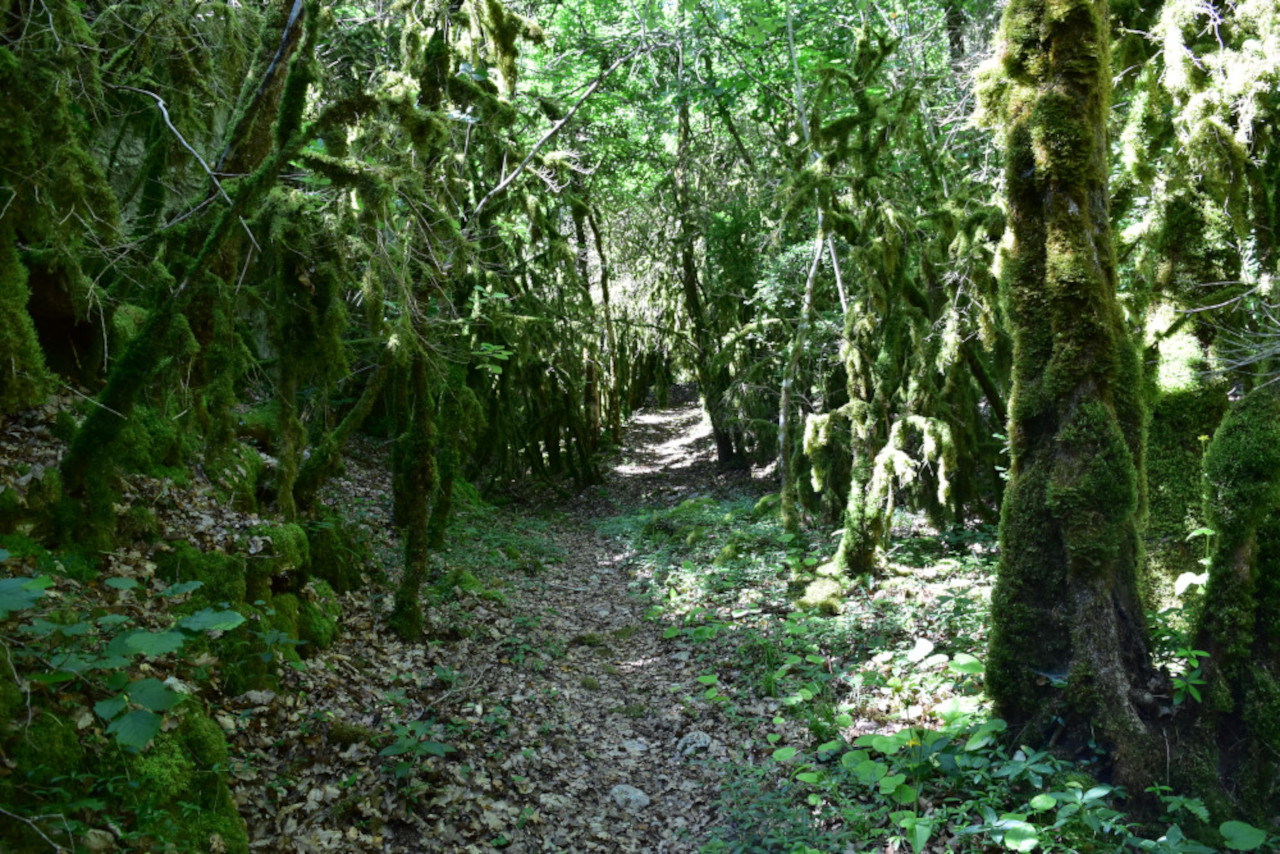 photo9