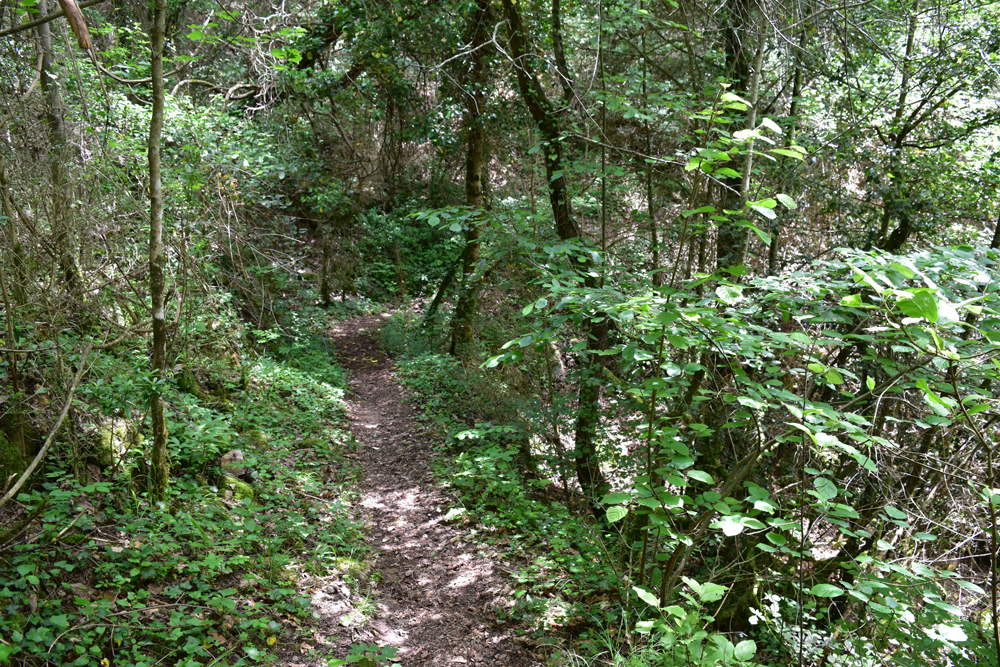photo11