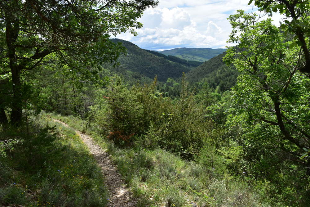 photo13