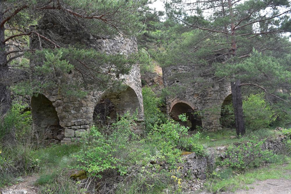 photo14