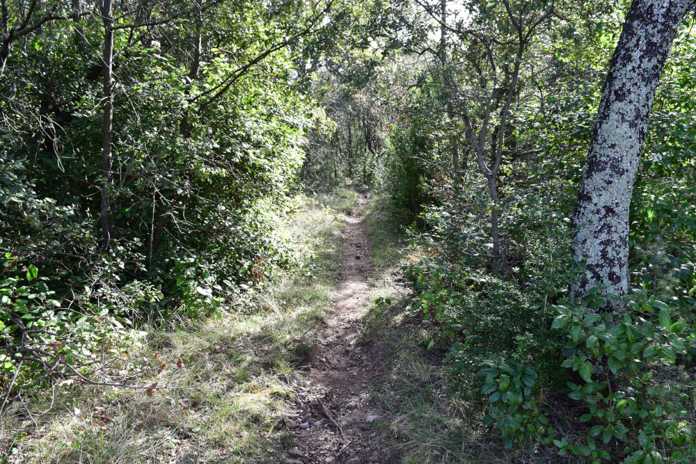 photo1